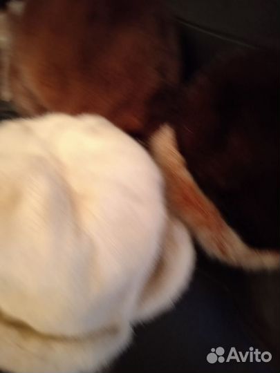 Шапка норковая