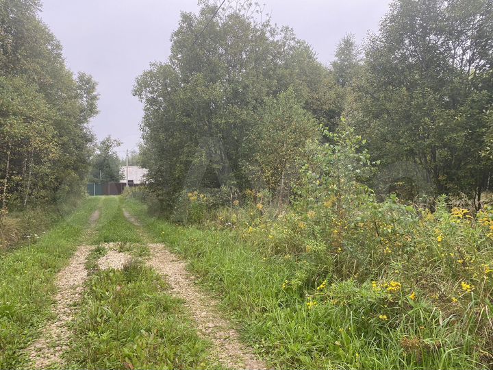 Участок 11,3 сот. (СНТ, ДНП)