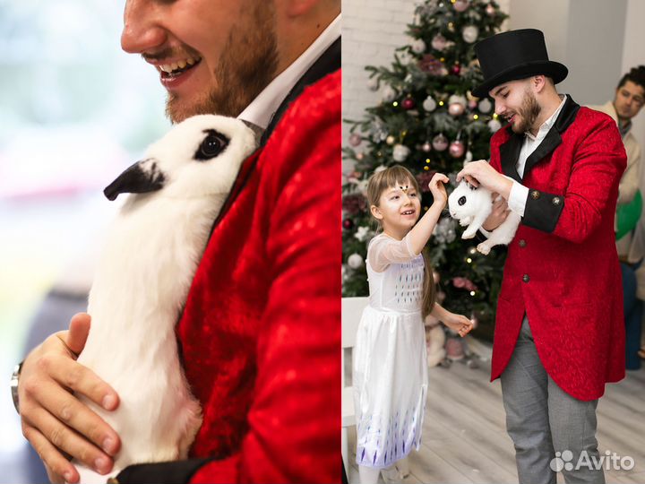 Аниматор и 7 зверюшек на детский праздник