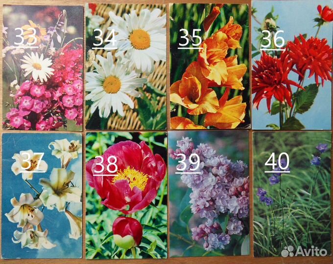 Старые (советские) открытки СССР. Цветы. 2