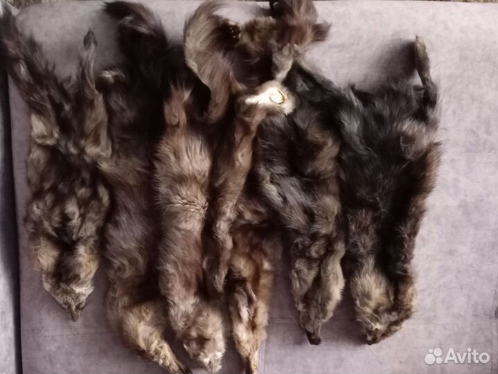 Шуба соболь