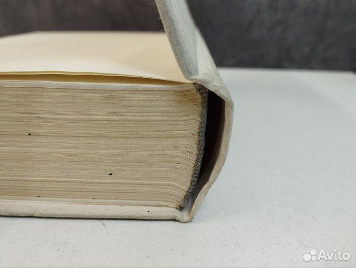 Г. Фиш. Здравствуй, Дания. Норвегия рядом. Отшельн