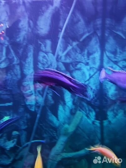 Аквариум с тумбой 180 литров