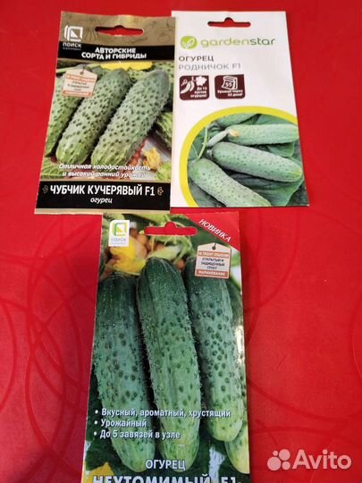 Семена огурцов