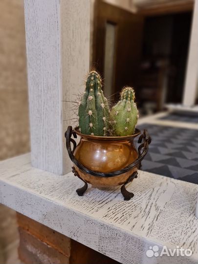 Горшочек/котелок медный на ножках