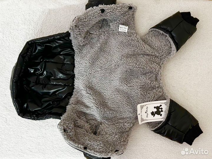 Новый комбинезон для мелких плрод собак