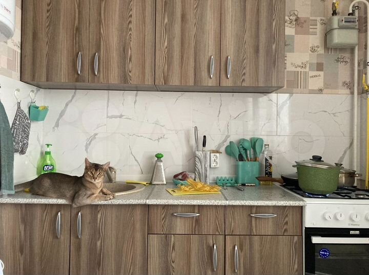 1-к. квартира, 36,2 м², 5/5 эт.