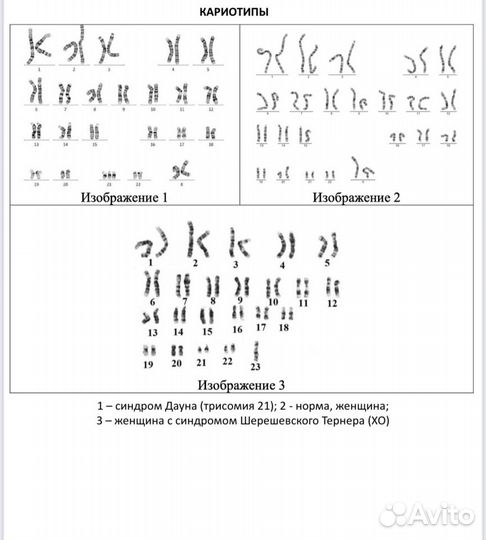 Картинки ЕГЭ биология