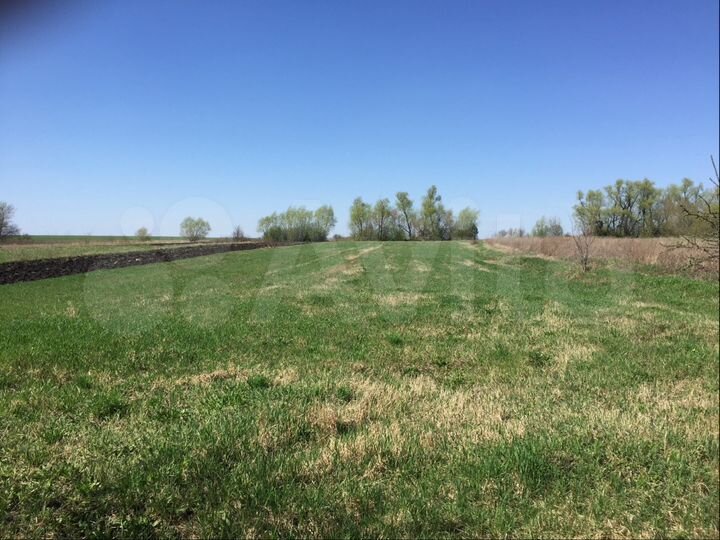 Дом 60 м² на участке 50 сот.