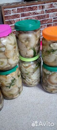 Маринованные маслята, соленые грузди