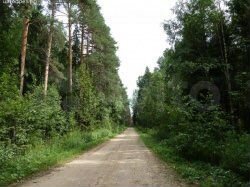 Участок 10 сот. (СНТ, ДНП)