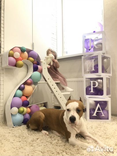 Декор на день рождения 2 года