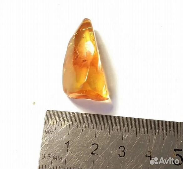 Янтарь с мелкими комариками