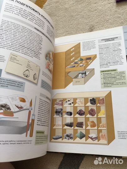 Атлас динозавров