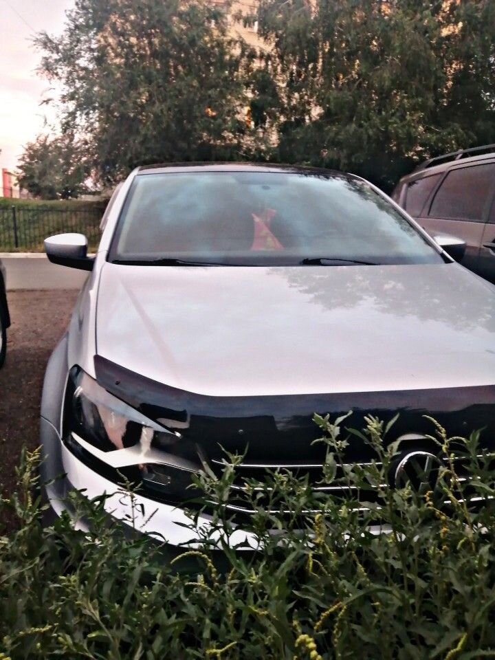 Volkswagen Polo: фото владельца