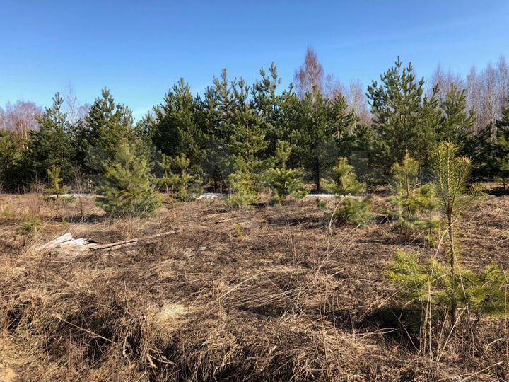 Участок 18 сот. (СНТ, ДНП)