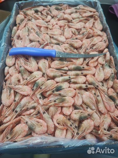 Креветки Северные микс