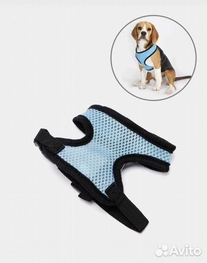 Шлейка хs размер