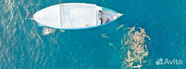 Отдых в июне на Мальдивах