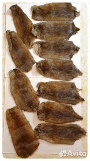 Шкурки выделанные