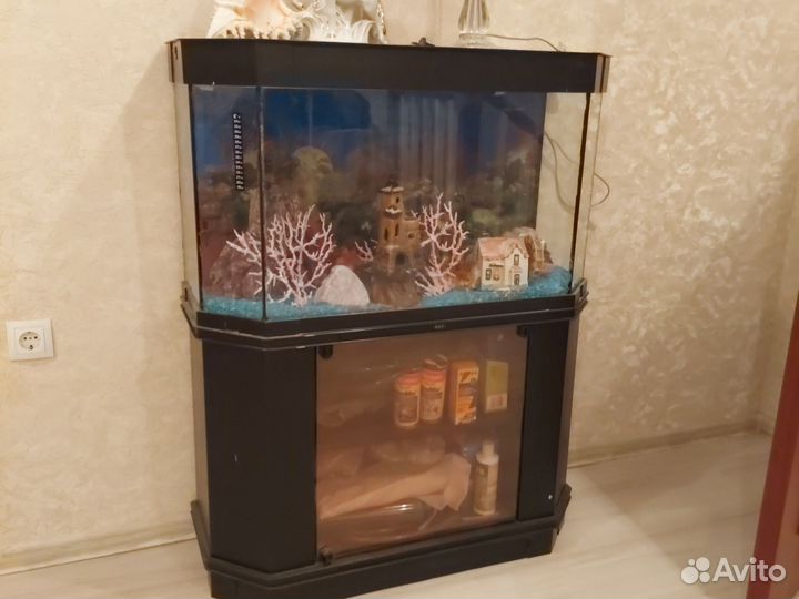 Аквариум