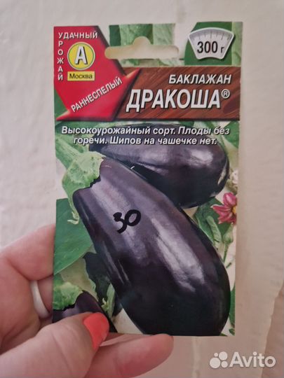 Баклажан рассада