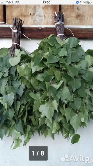 Веники для бани береза