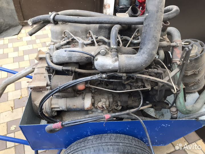 Двигатель термо кинг