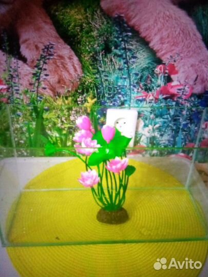 Аквариум,декор