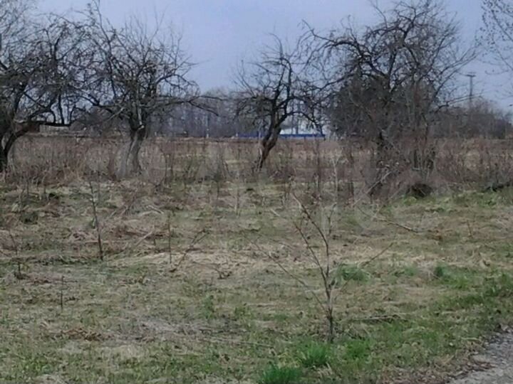 Участок 7 га (промназначения)