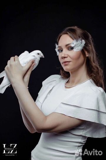 Выпуск голубей