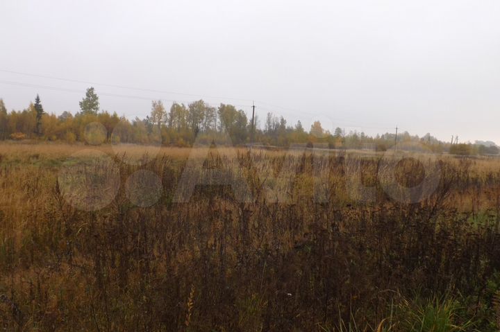 Участок 83 сот. (СНТ, ДНП)