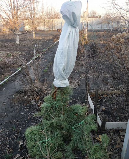 Участок 6,08 га (СНТ, ДНП)