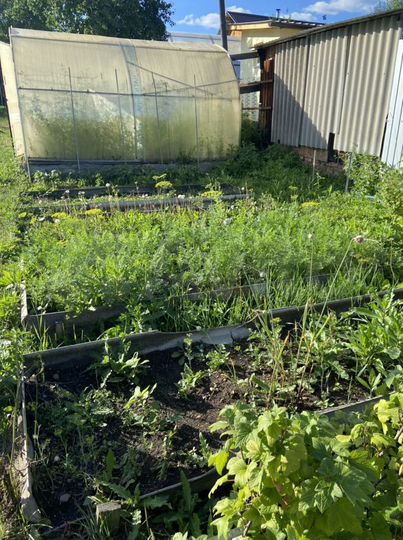 Дача 20 м² на участке 5,3 сот.