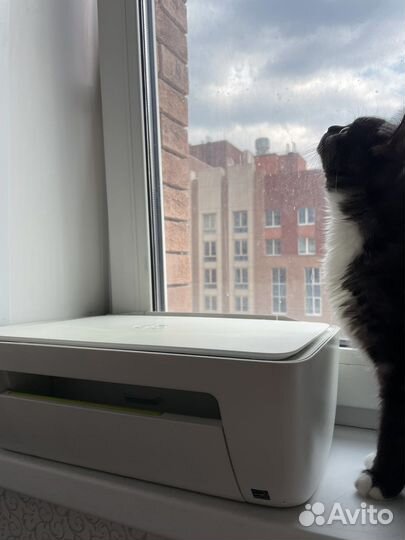 Принтер HP deskjet 2130