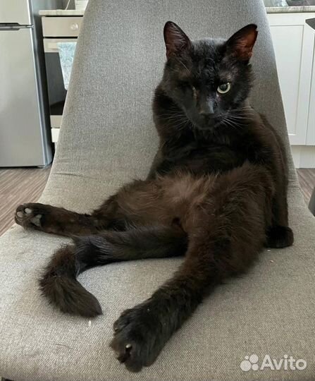 Шанс для инвалида