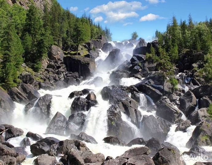 Экскурсия на Алтай