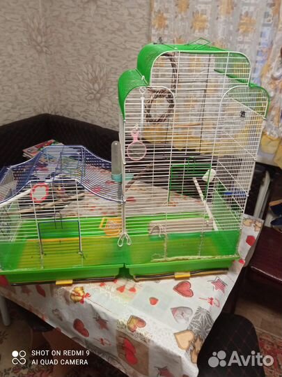 Клетка для попугаев