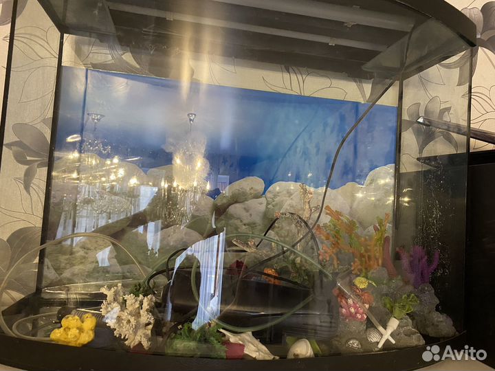 Аквариум с тумбой