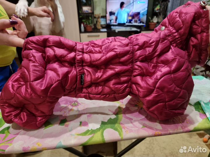 Комбинезон на таксу