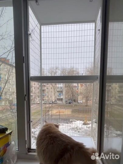 Балкон для кошек