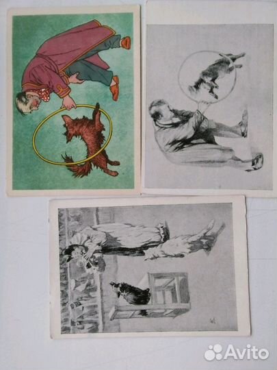 Набор открыток СССР 1954-61