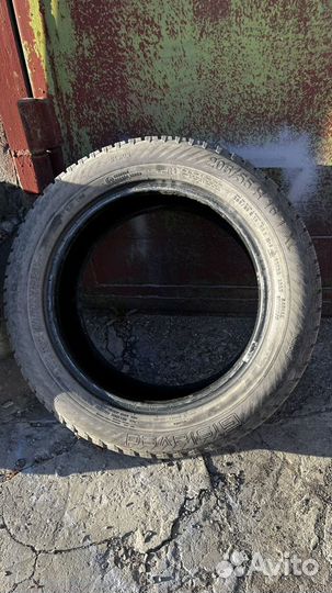 Gislaved Nord Frost 200 205/55 R16 94