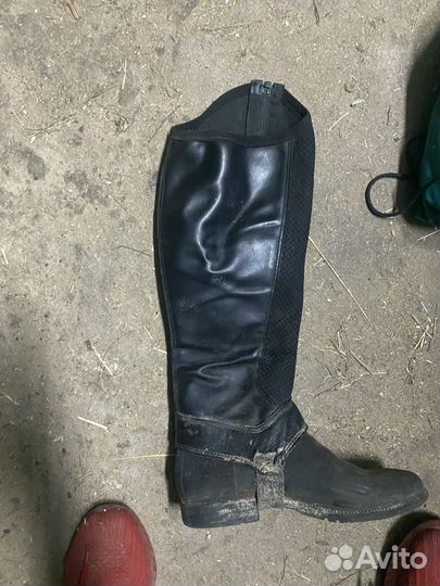 Краги для верховой езды детские