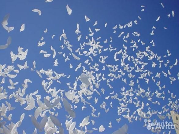 Гелий: Наполни шары сам