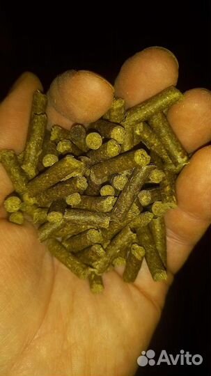 Корм для дегу и шиншилл полнорационный