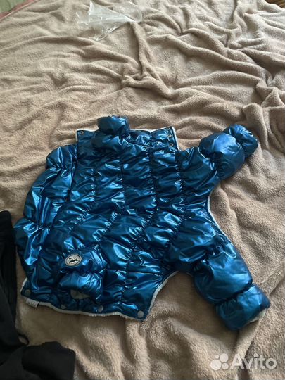 Костюм для собаки мелкой породы