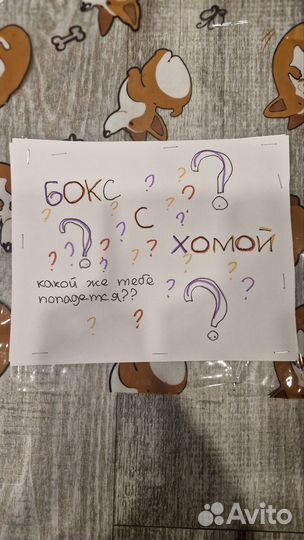 Бокс с хомой
