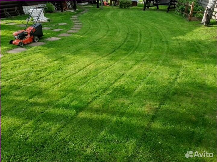 Семена для газона Газон