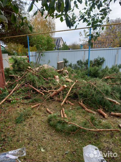 Спил деревьев и кустарников, покос травы